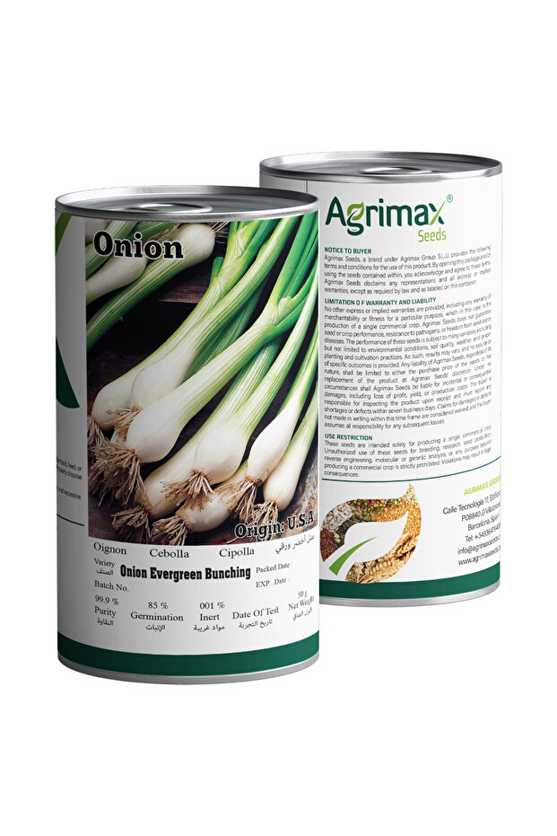 Onion Evergreen Bunching Premium Quality Seeds (Made in Spain)
