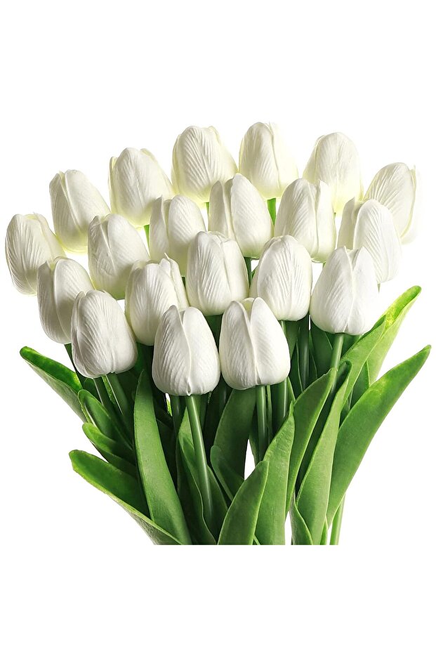 Buchet 20 lalele, SINBINTA, Alb - 5