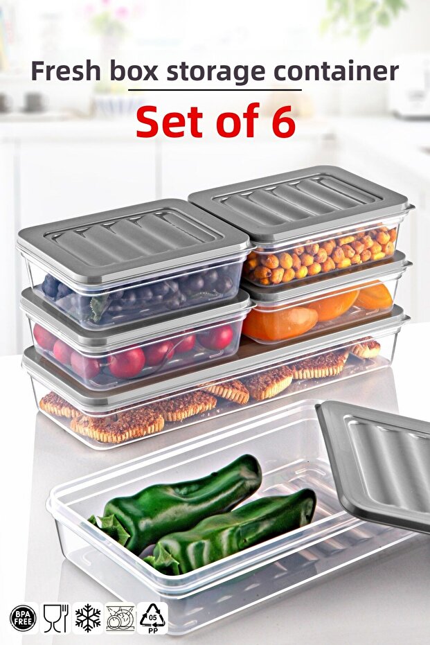 Set of 6 Freshbox Storage Containers Suitable for Microwave and Refrigerator 4 Gray