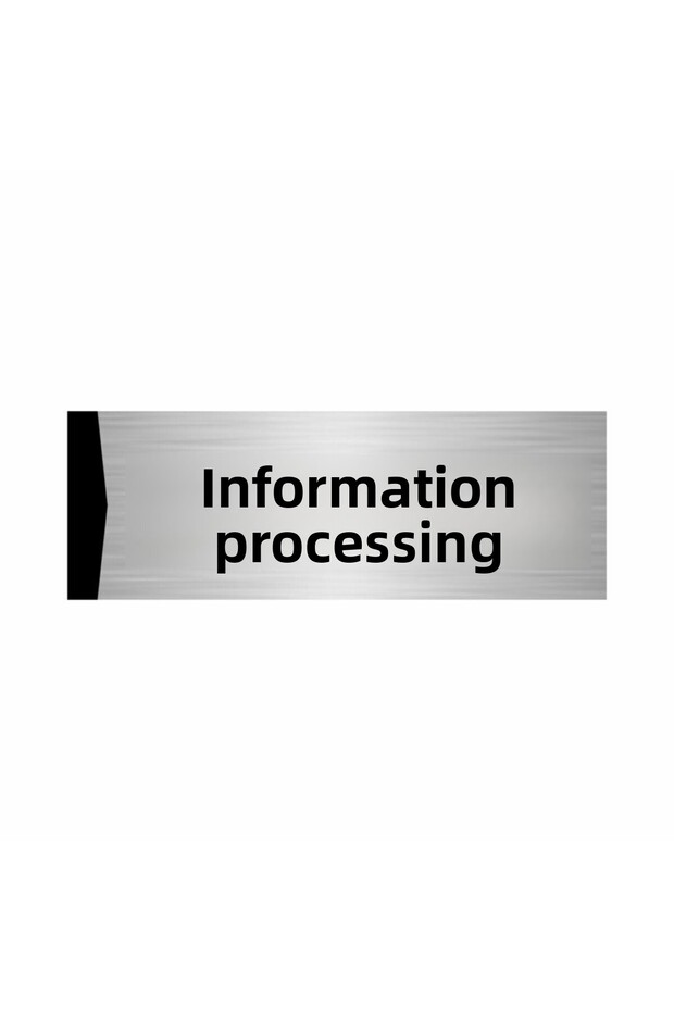 Information Technology 5X20Cm Silver Color Metal Directional Sheet