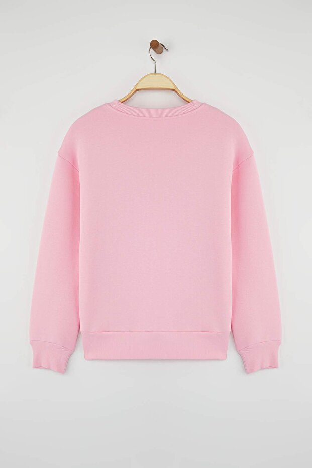 Açık Pembe Kalın İçi Polarlı Regular/Normal Kalıp Bisiklet Yaka Basic Örme Sweatshirt TWOAW24SW00101 - 6