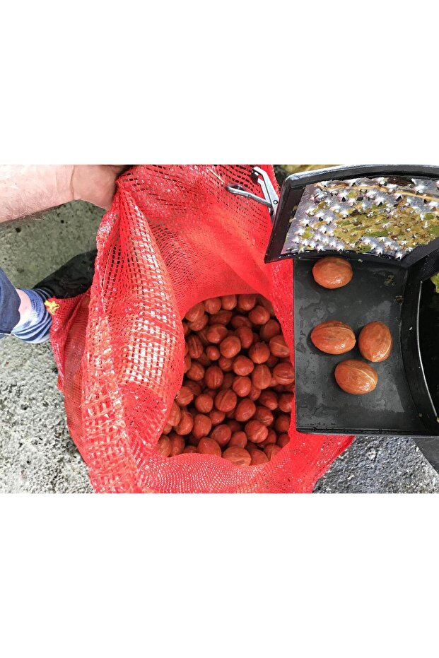 CKS80 Ceviz Soyma Makinası Rendeli Tip - 2