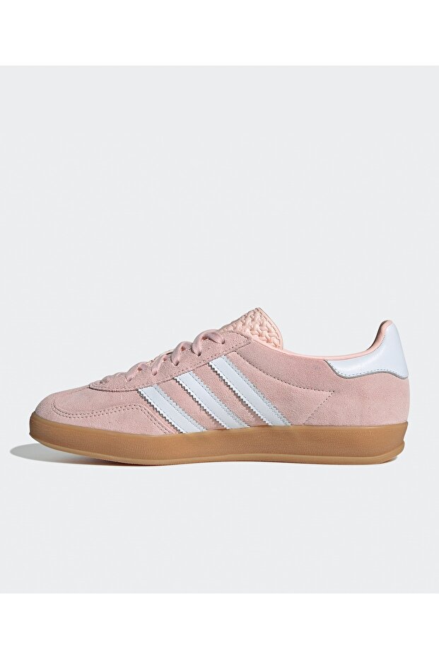 Gazelle Indoor - 2