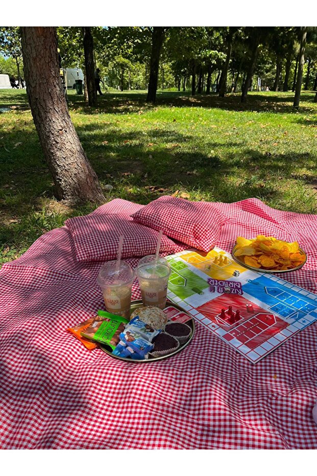 Çantalı Piknik Seti - 6