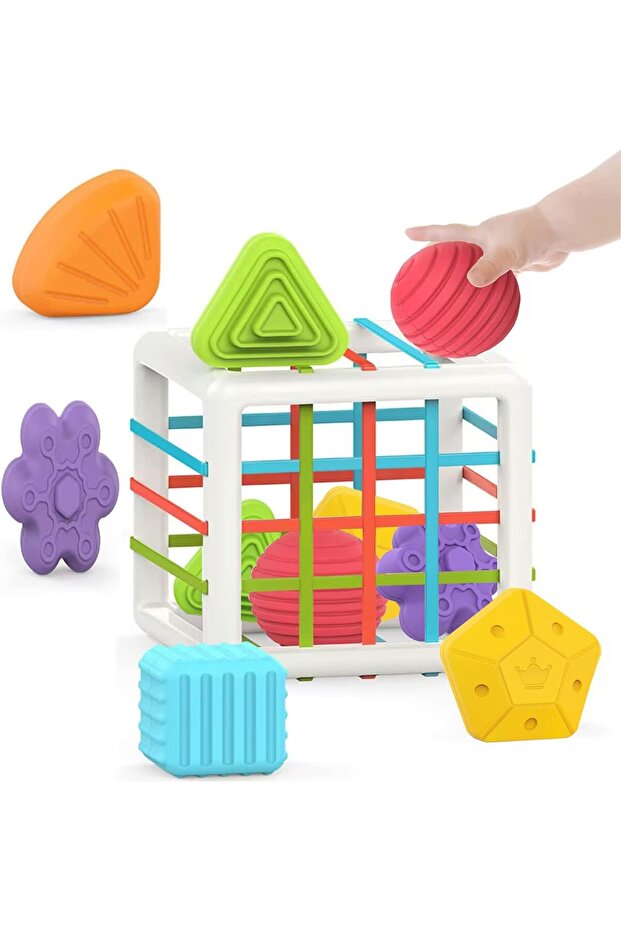 6-Piece Sensory Shape Montessori Toys, Toddler Developmental Learning Gift
