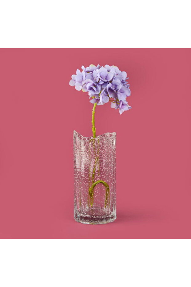 Deco Zen Vazo - Şeffaf - 12x25 cm - 3