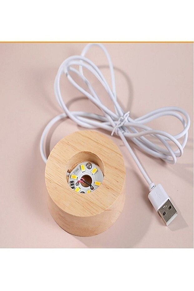 3D Karahindiba Temalı Kristal Küre Gün Işığı Led Gece Lambası – USB'li Ahşap Standlı LED Lamba - 6