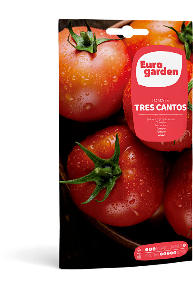 Tomato (Tomate Tres Cantos) Premium Quality Seeds Made in Spain