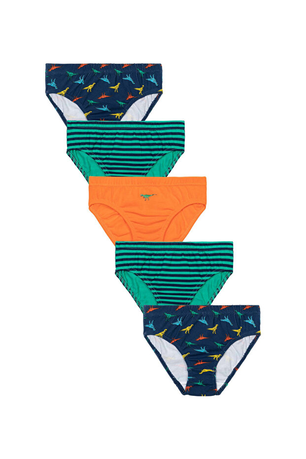 5 Pack Dino Striped Underpants - Multicolor