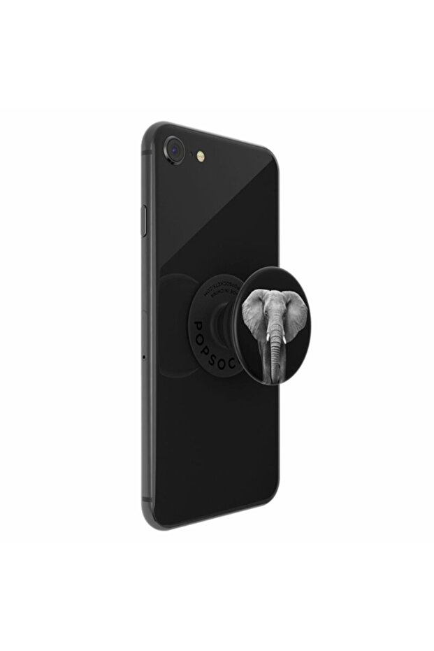 original, support with multiple functions, Loxodonta Africana - 2