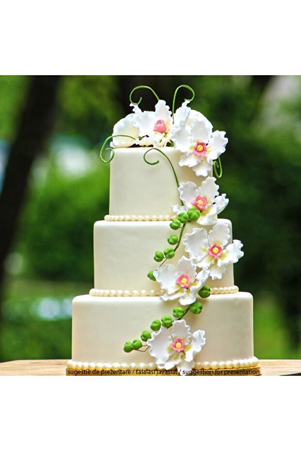 Fondant alb, 500g - - 3