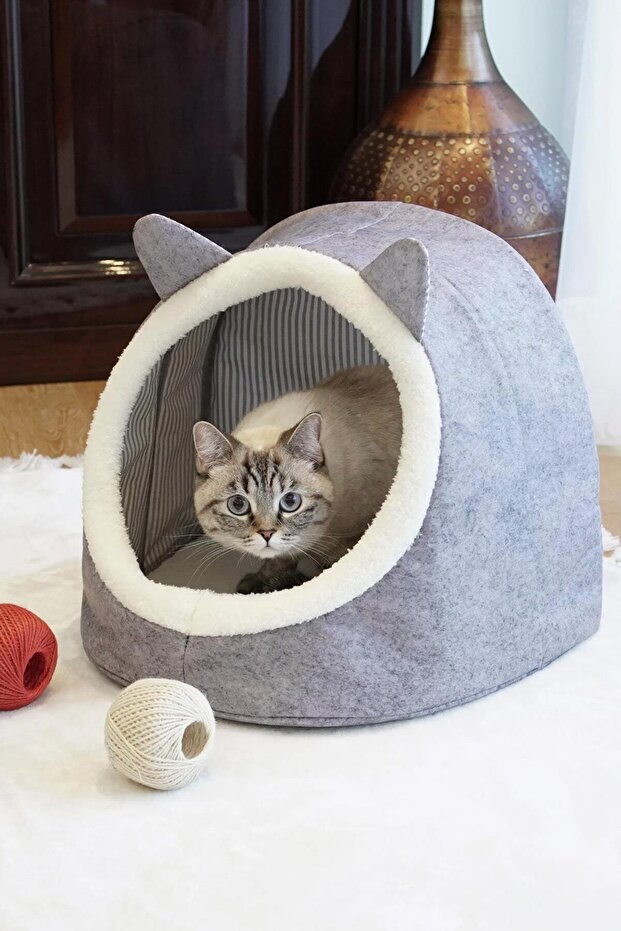 KEDİ KÖPEK EVİ - 3