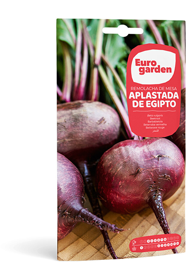 Table Beet (Remolacha de Mesa Aplastada de Egipto) Premium Quality Seeds Made in Spain