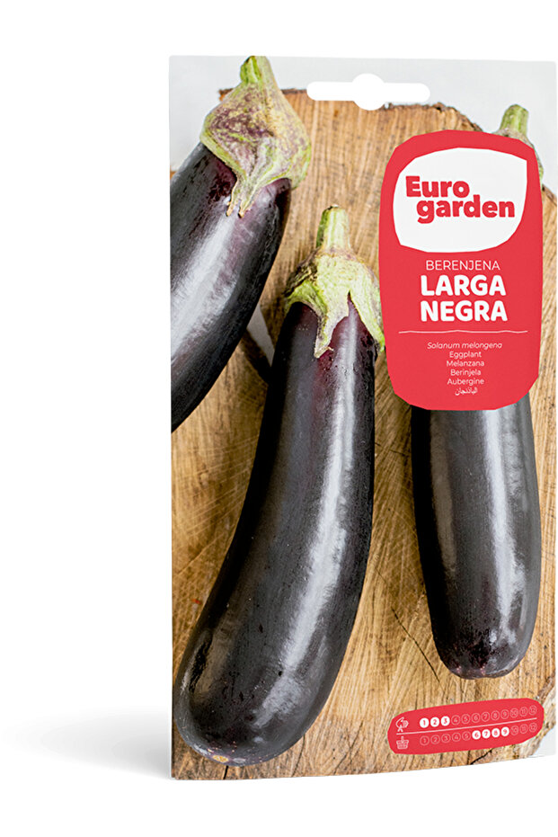 Long Eggplant (Berenjena Larga Negra) Premium Quality Seeds Made in Spain