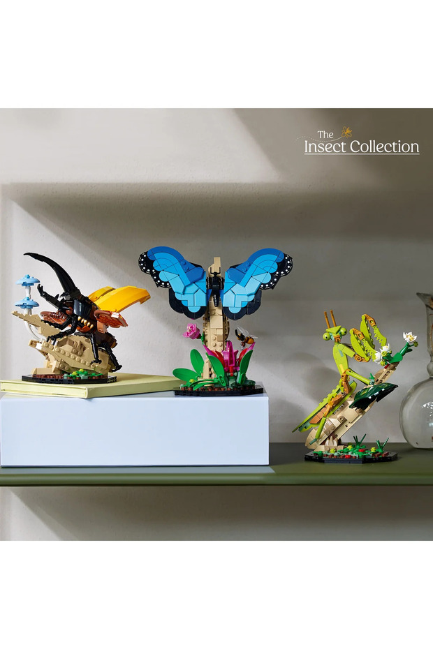 Ideas 21342 the Insect Collection - 9