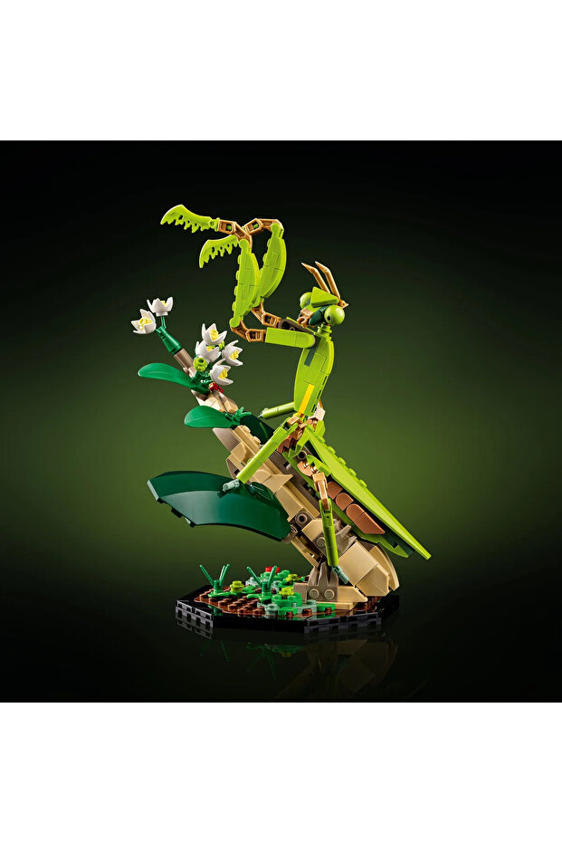 Ideas 21342 the Insect Collection - 8