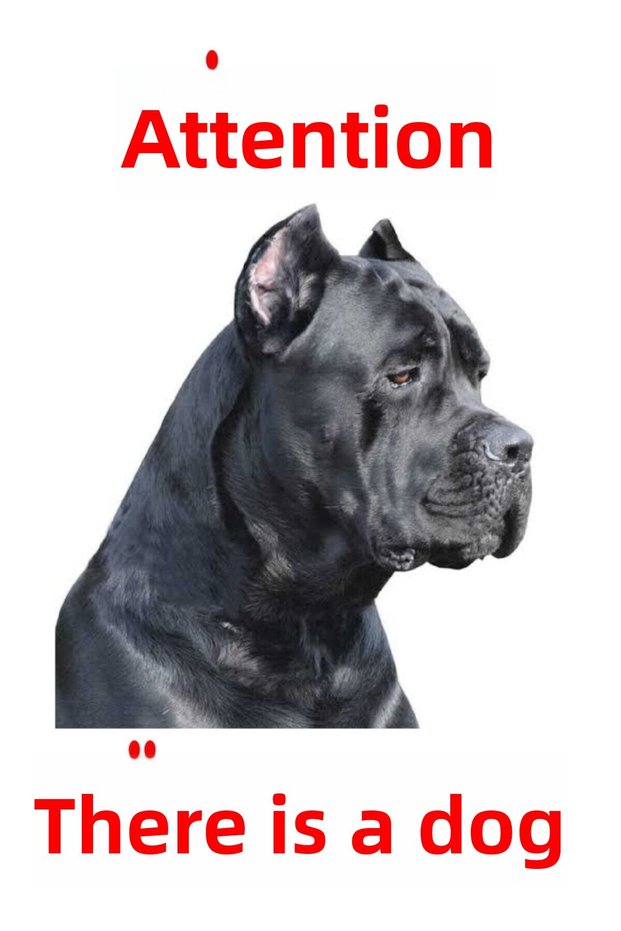لافتة تحذيرية لوجود كلب (لون Cane Corso-2)