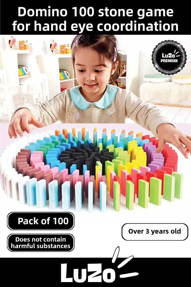 Premium Series Educational Tutorial Intelligence Hand Eye Coordination Developer Domino 100 Stone Game - 1