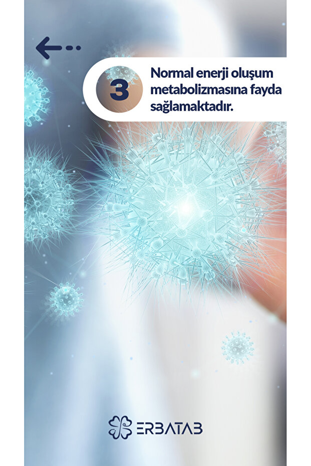 Thyrobex Multivitamin & Mineral 60 Kapsül - 6