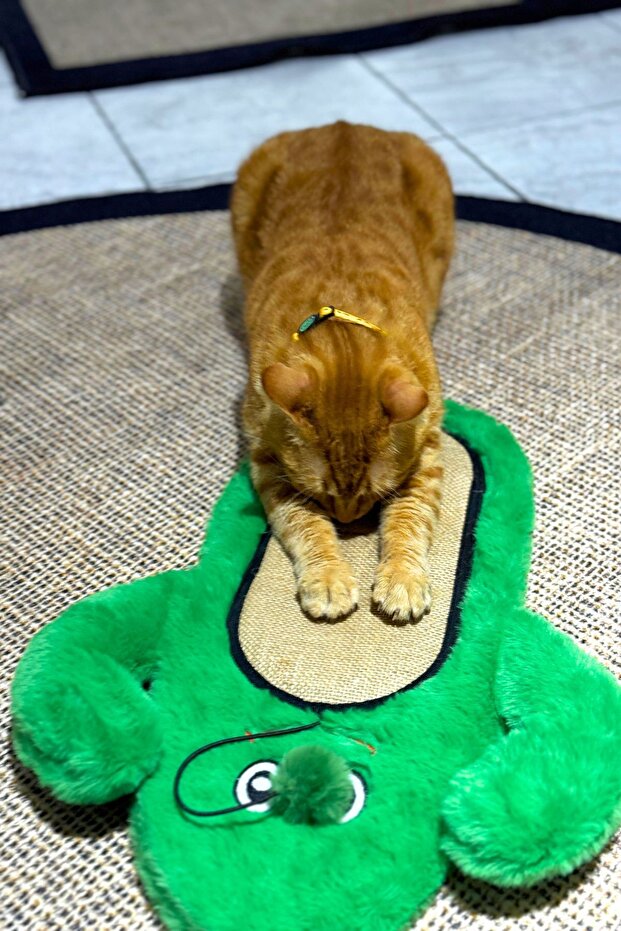 سجادة خدش للقطط من القطيفة على شكل صبار، سطح من الجوت، مع صوت خشخشة، مزودة بألعاب بومبوم، وقابلة للتثبيت. - 2