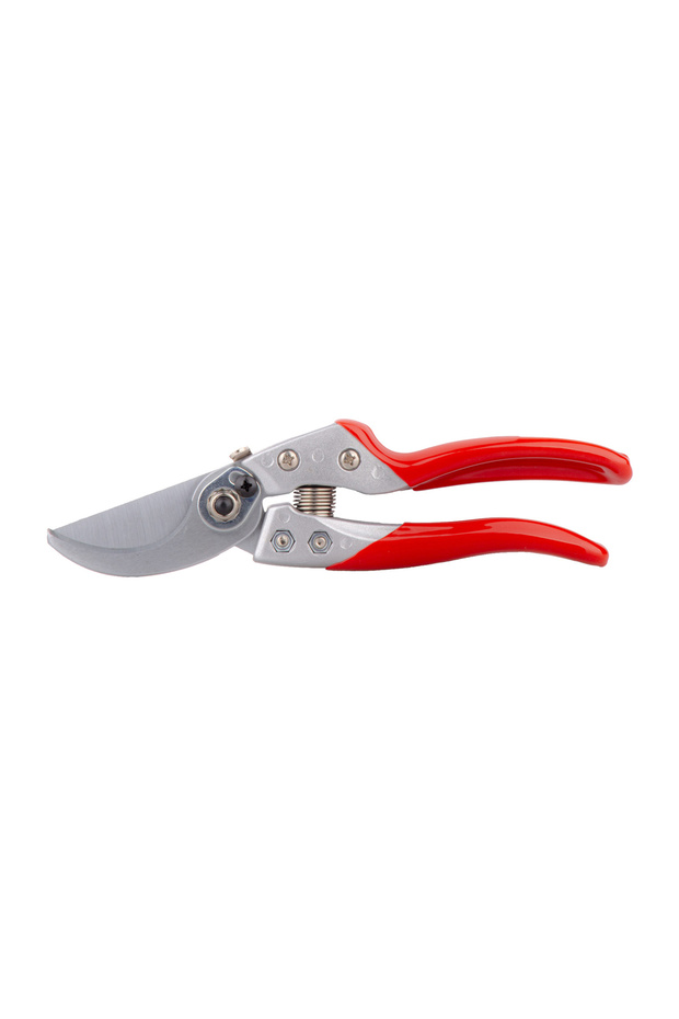 Ps20 Fruit Picking Scissors - 1
