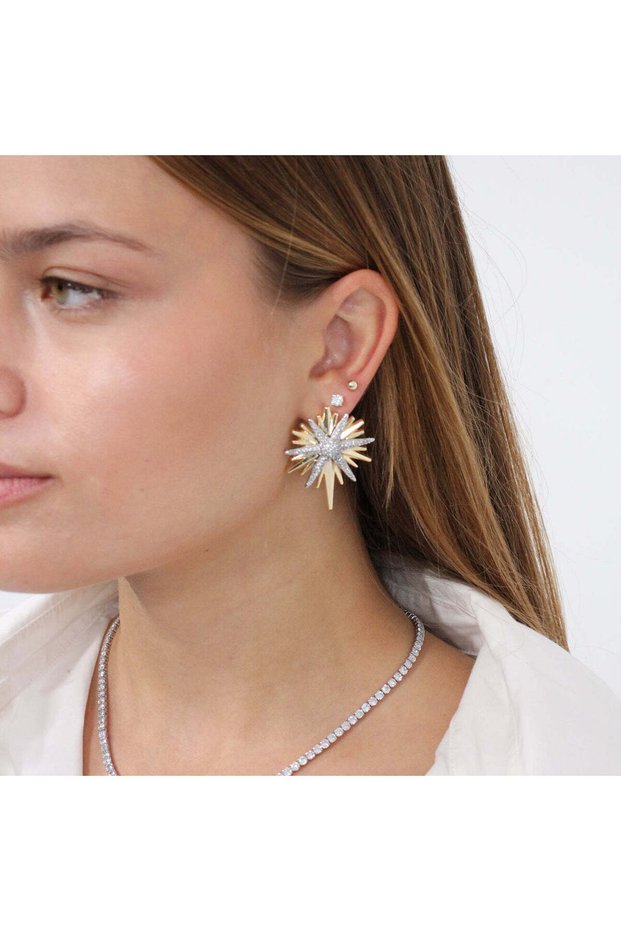 North Star Rose Steel Earrings
