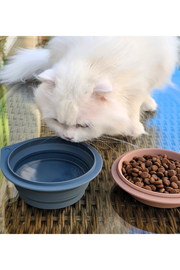 Silikon Katlanabilir Evcil Havyan Mama/Su Kabı Deep Blue - 7