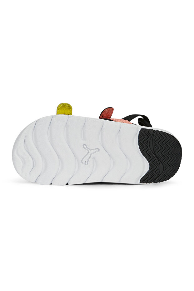 Evolve Spongebob Sandals - Black - 3