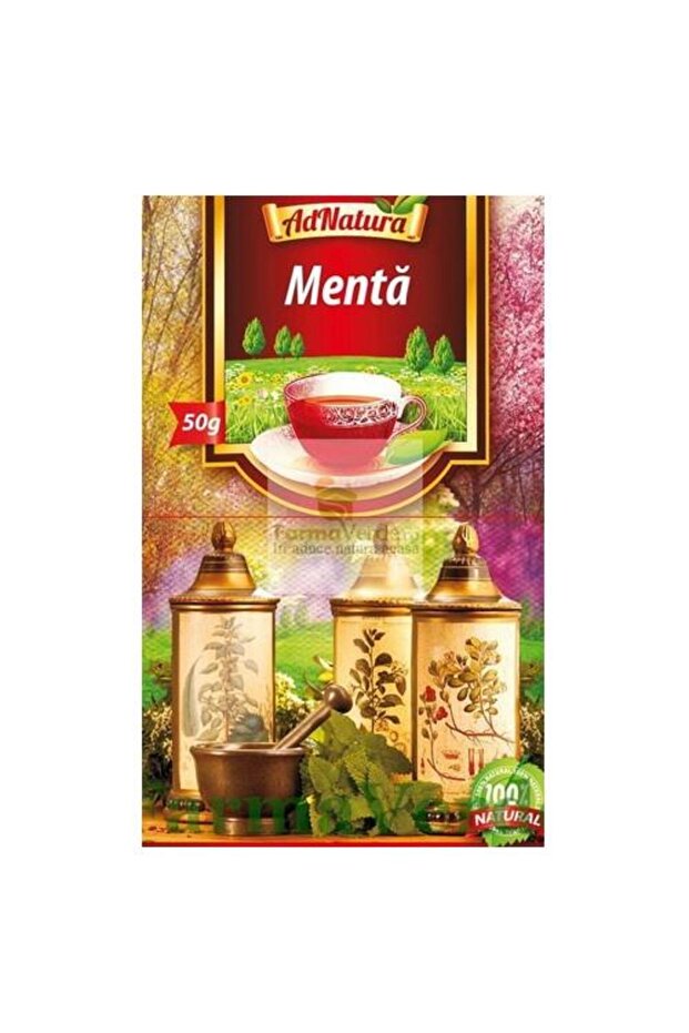 Mint Leaf Tea 50g - 1