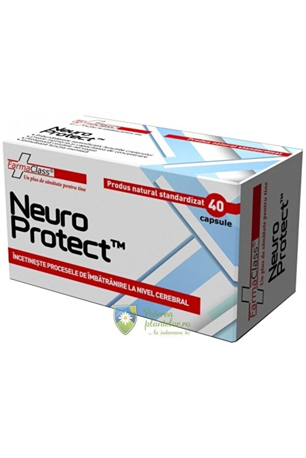 Neuro Protect 40 capsule - 2