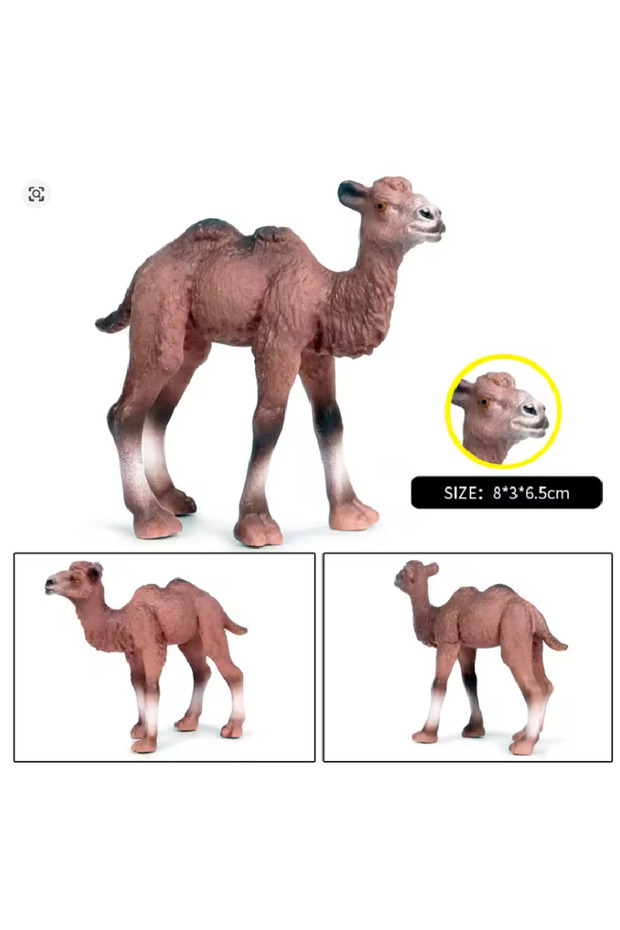 نموذج مجسم جمل ماركة Oenux - 3