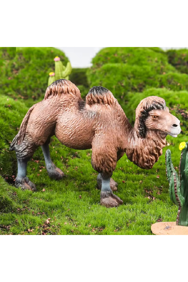 نموذج مجسم جمل ماركة Oenux - 1