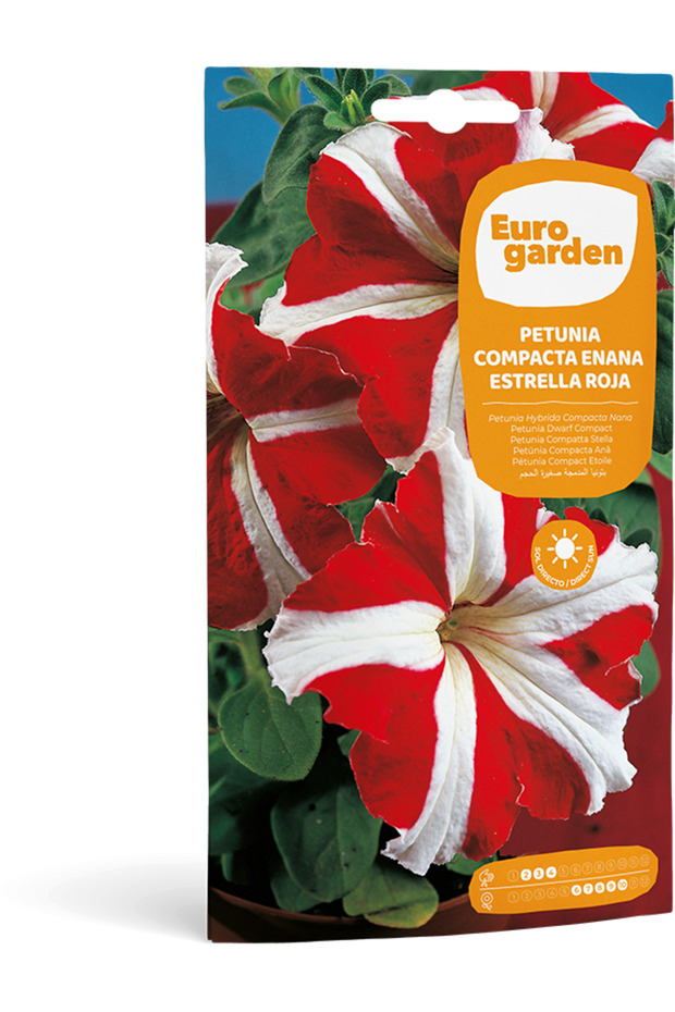 Petunia Dwarf (Petunia Compacta Enana Estrella Roja) Premium Quality Seeds Made in Spain