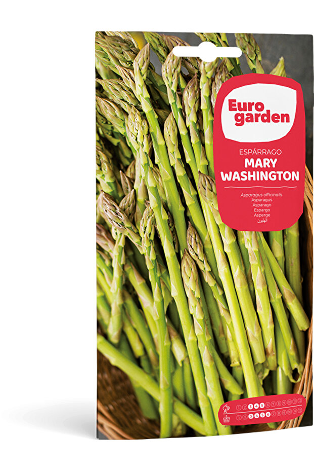 Asparagus (Espárrago Mary Washington) Premium Quality Seeds Made in Spain