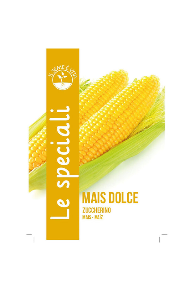 Sweet Mais (Mais Dolce Zuccherino) Premium Quality Seeds Made in Italy