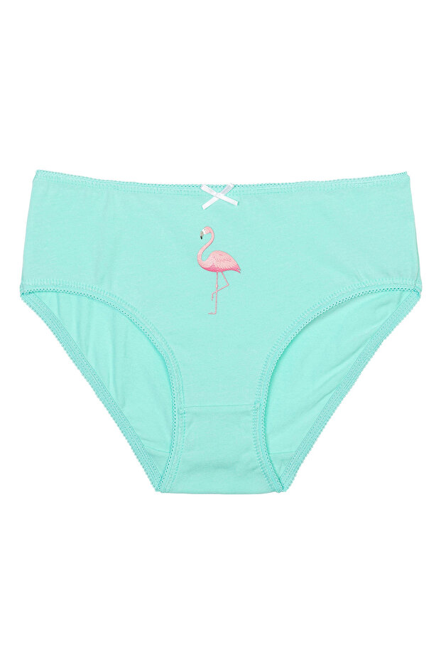 5 Pack Flamingo Knickers - Multicolor - 6