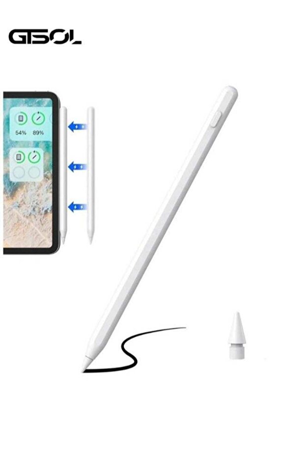 iPad Pencil 2nd Generation - Magnetic USB Charging Stylus with Palm Rejection
