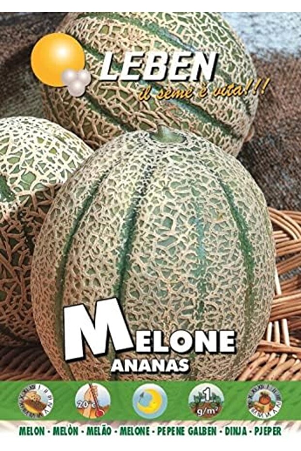 Melon (Melone Ananas) Premium Quality Seeds Made in Italy