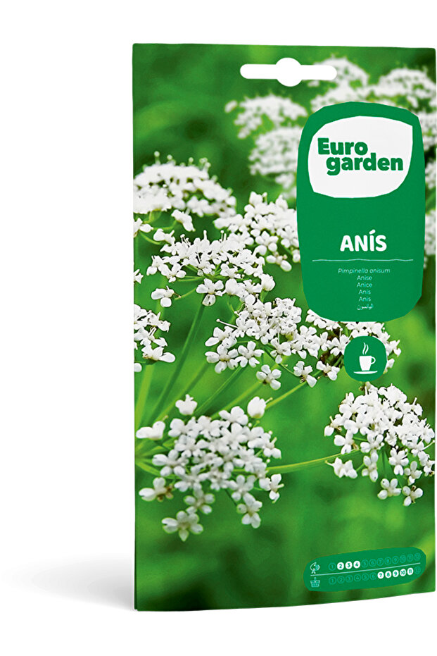 Anise Premium Quality Seeds Made in Spain