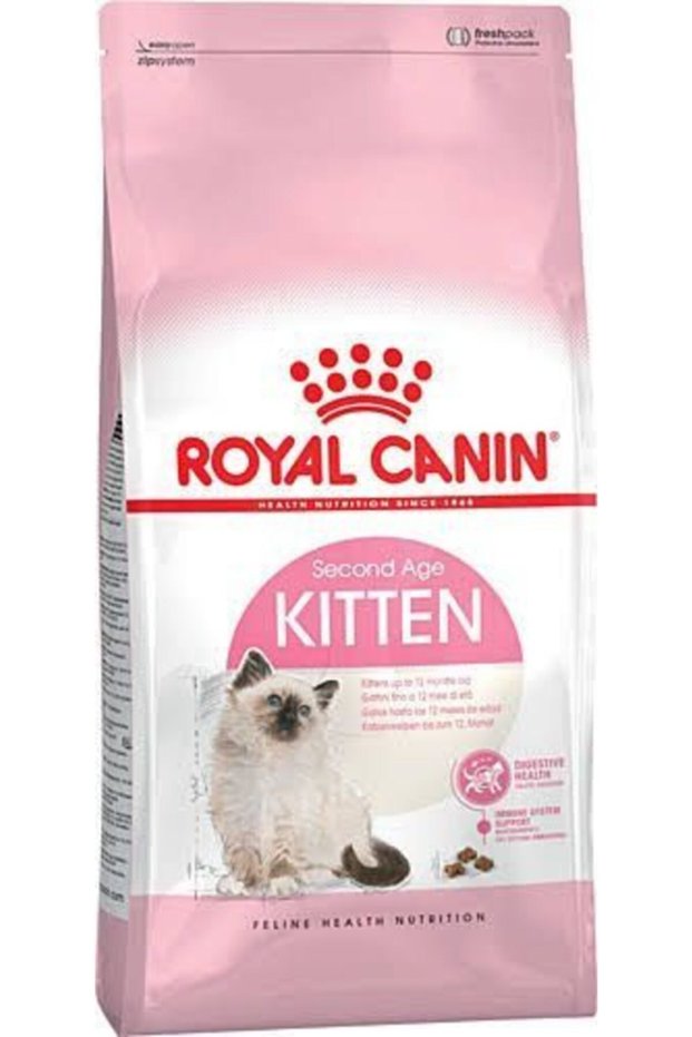Kitten 10 kg