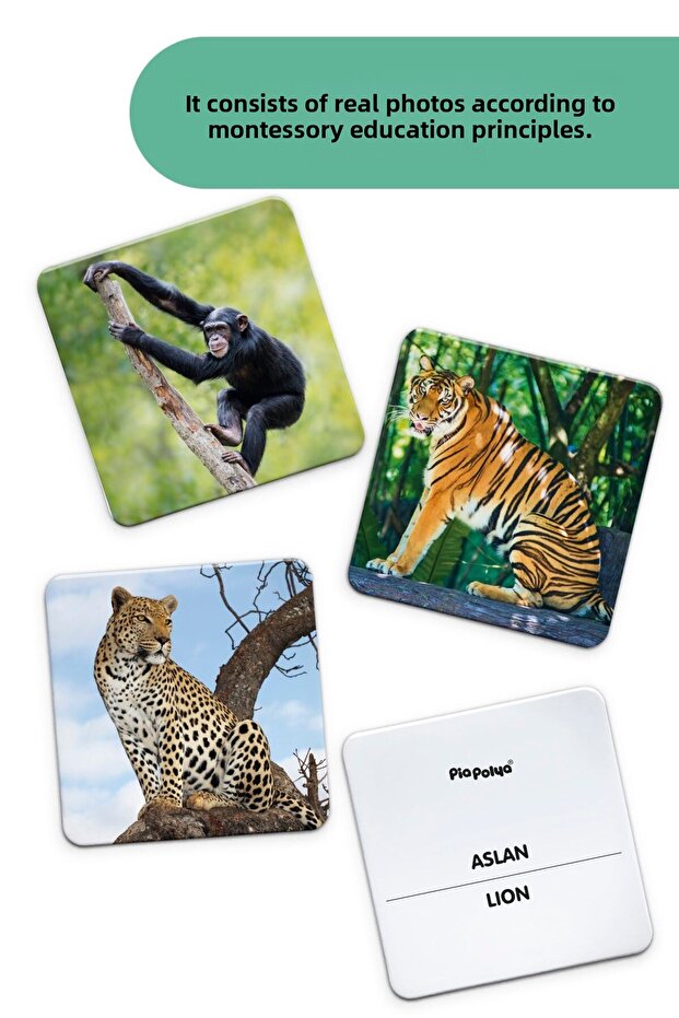 بطاقات تطوير الذكاء| 16 قطعة| ورق مقوى - 3