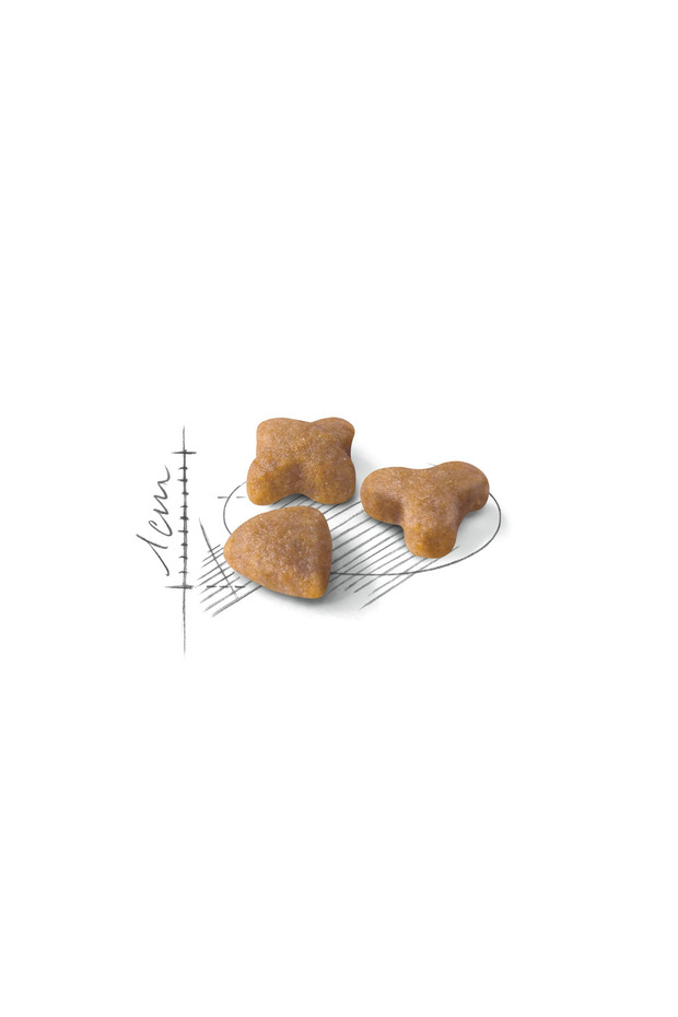 Sensible33 400 Gr x 2 Adet - 2