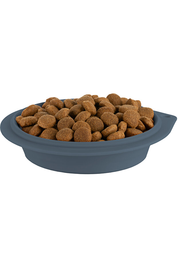 Silikon Katlanabilir Evcil Havyan Mama/Su Kabı Deep Blue - 2