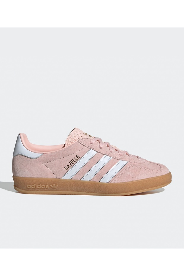 Gazelle Indoor - 1