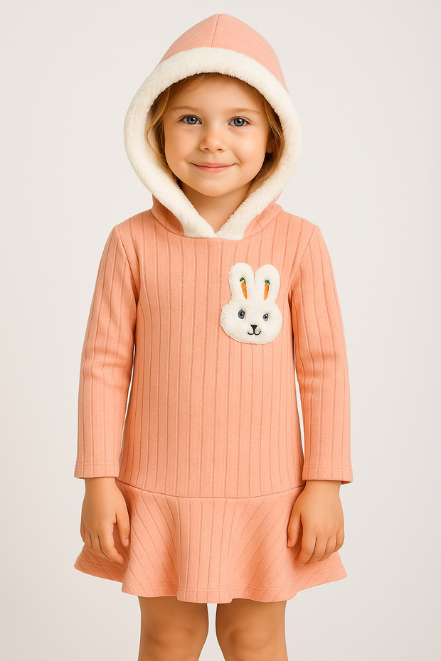 Rabbit Pattern Hooded Girl's Dress – Cotton Notebook Casual Mini Model