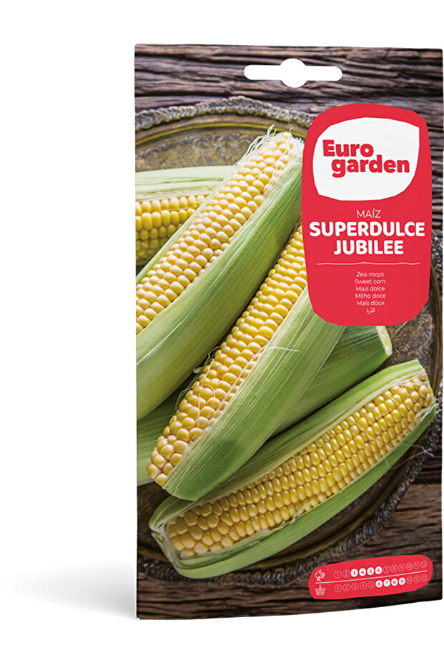 Sweet Corn (Maíz Superdulce Jubilee) Premium Quality Seeds Made in Spain