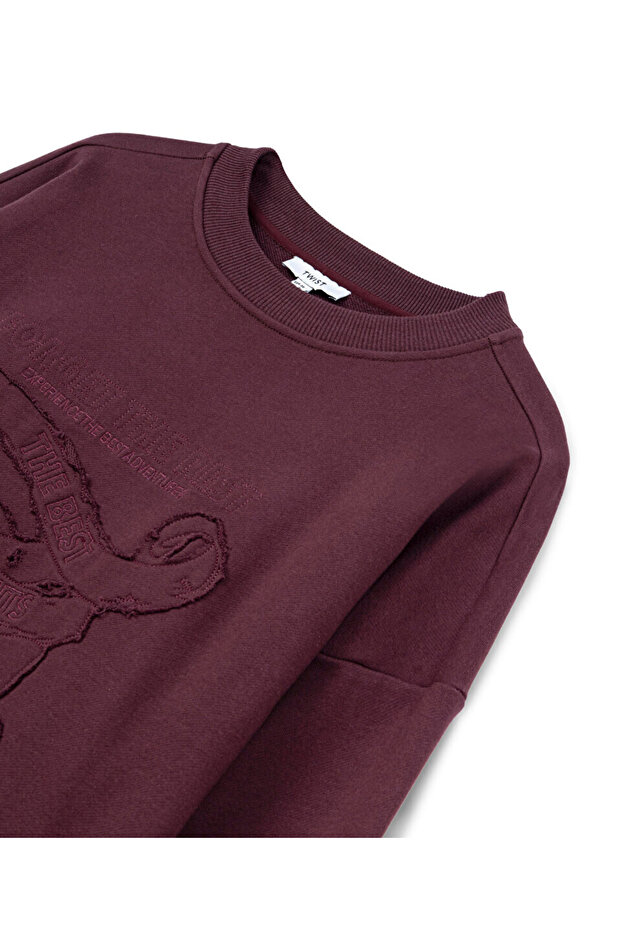 APLİKELİ SWEATSHIRT - 4