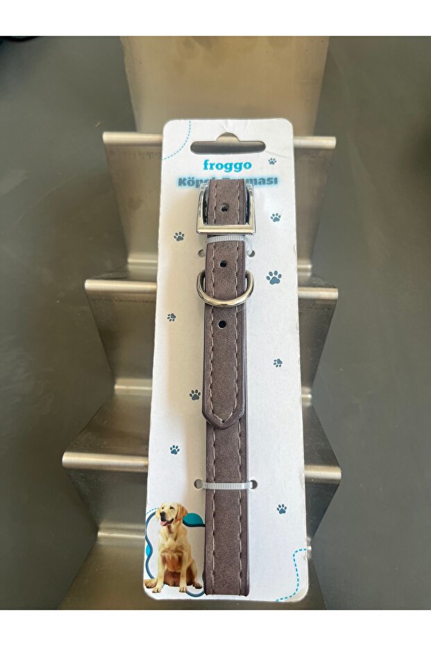 طوق الكلب - 1