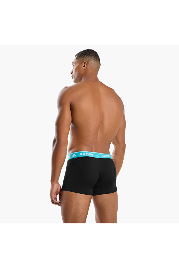 Set of 3 - Assorted Trunks - 4