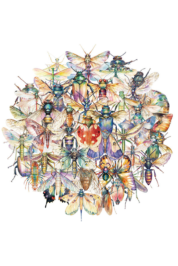 50PCS 50PCS Exquisite Insect Watercolor Graffiti Stickers Handbooks DIY Luggage Notebooks Motorcycle
